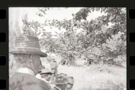Mapuches