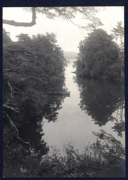 [Lago Llanquihue]