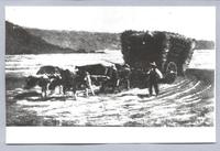 Campesino con carreta Campesino con carreta