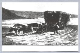 Campesino con carreta Campesino con carreta