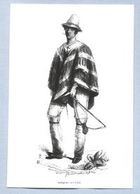 Arriero Arriero