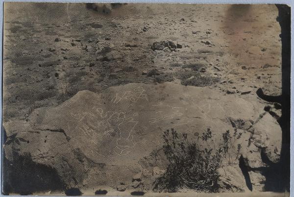 [Piedras pintadas del Cerro Guanaco en el valle del Río de los Cipreses, Cauquenes]