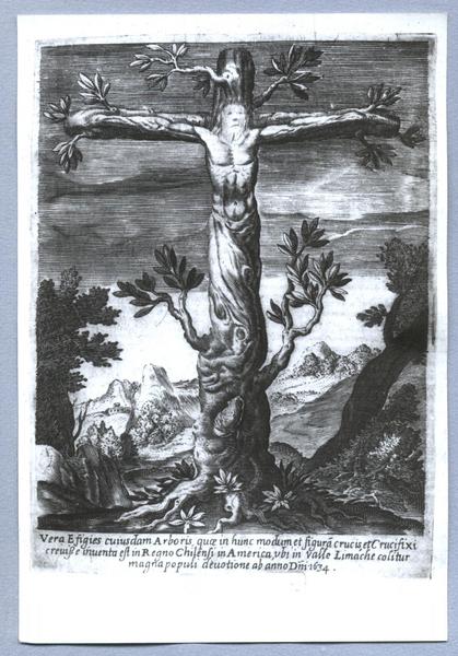 [Imagen de devoción popular, en árbol de Cristo Crucificado, Valle de Limache. Año 1634]