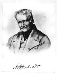 A. Humboldt A. Humboldt
