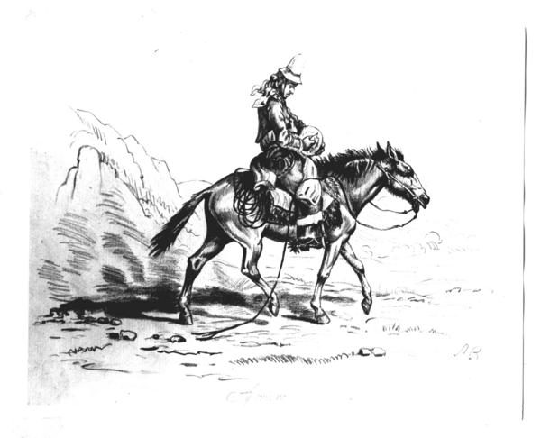 [Arriero o campesino montado a caballo, dibujo]