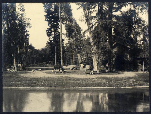 [Parque Cousiño, actual Parque O'Higgins]