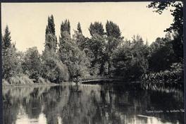 Parque Cousiño La Laguna 262 Parque Cousiño La Laguna 262