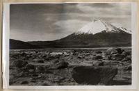 Nevados payachatas. Tacora, camino yendo a Parinacota desde Tacna. Nevados payachatas. Tacora, camino yendo a Parinacota desde Tacna.