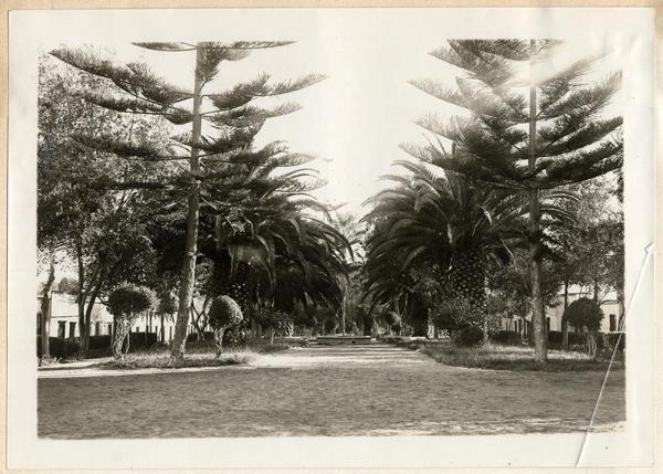 Parque de Tacna, Perú