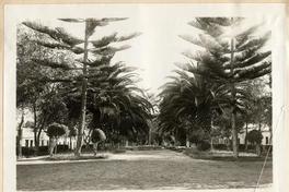 Parque de Tacna, Perú