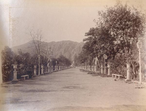 [Calle o avenida no identificada]