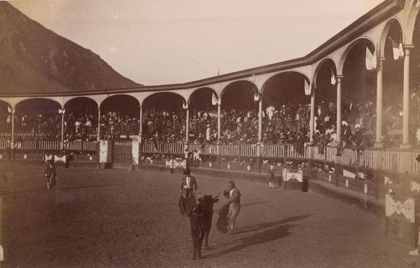 [Plaza de Toro, con un toro y dos toreros, Perú]