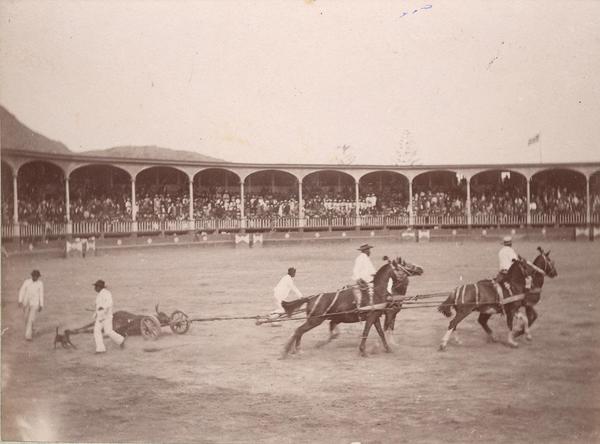 [Plaza de Toro, con caballos, Perú]