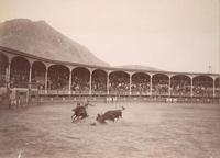 [Plaza de Toros, con un toro y un caballo, Perú [Plaza de Toros, con un toro y un caballo, Perú