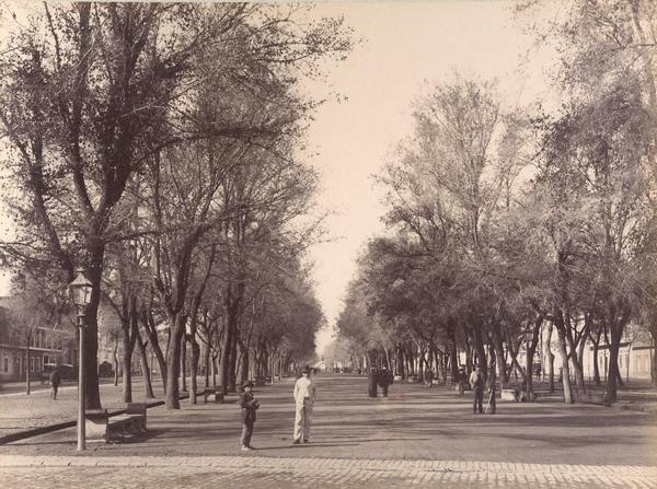 [Alameda de las Delicias : perspectiva de una calle con árboles y personas, actualmente es la Avenida Libertador General Bernardo O'Higgins]