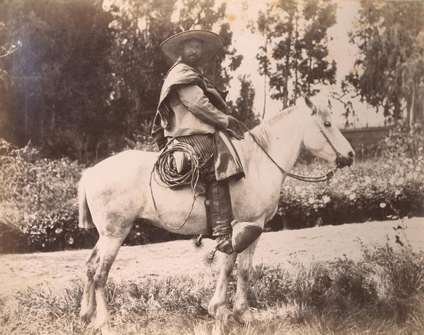 [Huaso con apero y caballo]