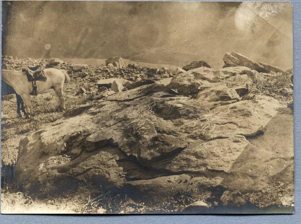 [Piedras pintadas del Cerro Guanaco en el valle del Río de los Cipreses, Cauquenes]