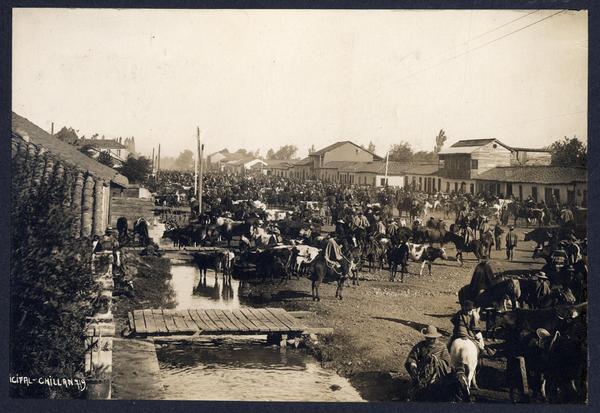 [Mercado Municipal de Chillán]