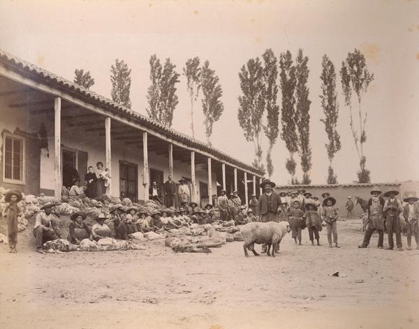 [Campesino con ovejas junto a una casa patronal, zona central]