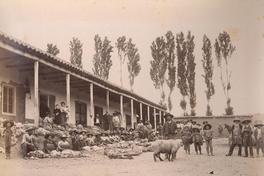 [Campesino con ovejas junto a una casa patronal, zona central]