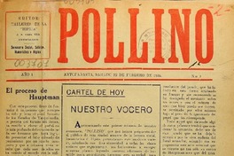 Pollino.