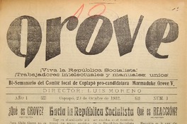 Grove (Copiapó, Chile : 1932) Grove (Copiapó, Chile : 1932)