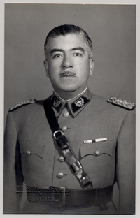 [Militar chileno de unos cincuenta años pelo canoso]