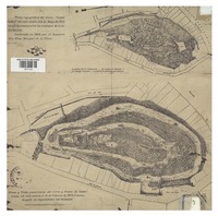 Plano topográfico del Cerro "Santa Lucia" tal cual existía el 4 de mayo de 1872 en que se comenzaron los trabajos de transformación levantado en 1869 por el injeniero Don Elias Márquez de la Plata.