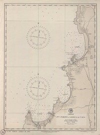 [Punta] Poroto a Lengua de Vaca