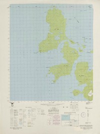 Isla Grévy 553000 - 673000 [material cartográfico] : Instituto Geográfico Militar de Chile.