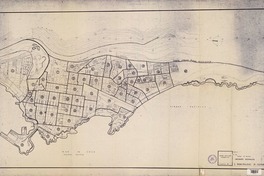 Plano ciudad de Iquique unidades vecinales [material cartográfico] : I. Municipalidad de Iquique : dibujó Avelino Ulloa Bravo.