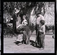 Mapuches Mapuches