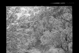 [Portales de los túneles en los cerros]