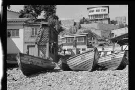 Caleta El membrilo