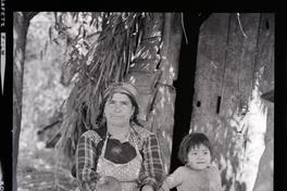 Mapuches