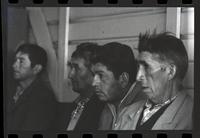 Mapuches