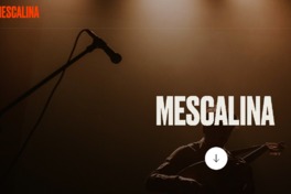 Sellomescalina [recurso electrónico].