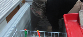 Introduccin de libros mojados a una cmara de congelamiento (Archivo CNCR,Correa, S. 2016)