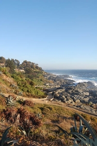 Sector balneario de Zapallar