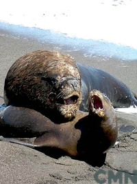 Islote y lobera iglesia de piedra