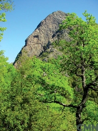 Predio "El Morrillo"