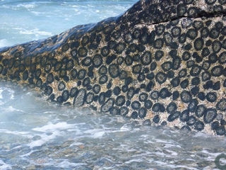 Terreno de 2, 34 has  junto al mar, ubicada en sector del  Rodelillo (rocas de Granito Orbicular estructura esferol�tica)