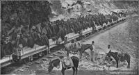 División Camus : Regimiento Buin no.1 embarcándose en un tren del ferrocarril trasandino para dirigirse a Los Andes : mayo de 1891