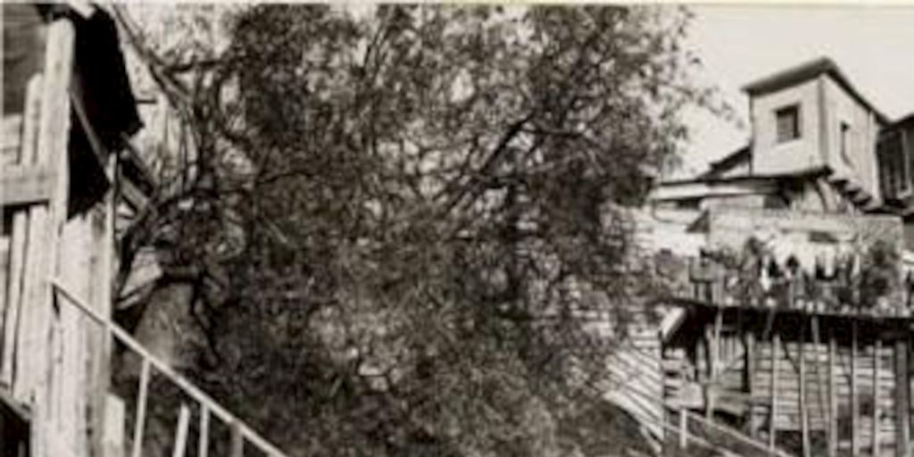 Cerro Bellavista, ca. 1900