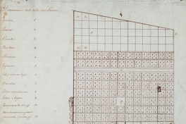 Plano de la Villa de Parral, 1844