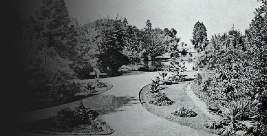 imagen recurso_img0.jpg