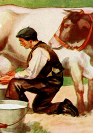 Iconograf�a del salitre en Espa�a