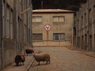 imagen foto_portada.jpg