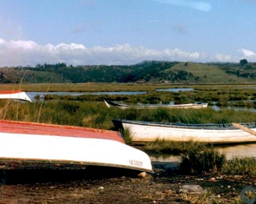 Imagen del monumento Península de Hualpén