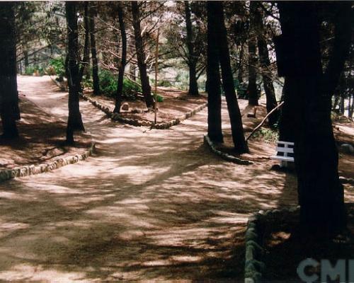 Imagen del monumento Sector Canelo - Canelillo